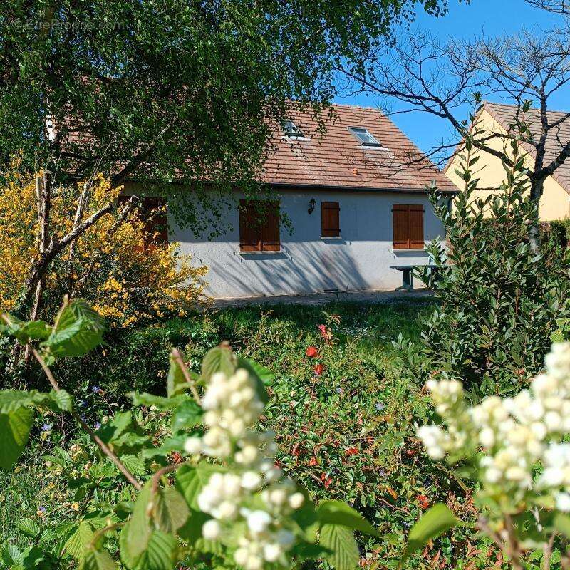 Maison à PRUNIERS-EN-SOLOGNE