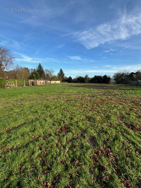 Terrain à FLINES-LEZ-RACHES