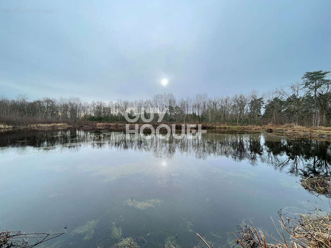 Terrain à LAMOTTE-BEUVRON