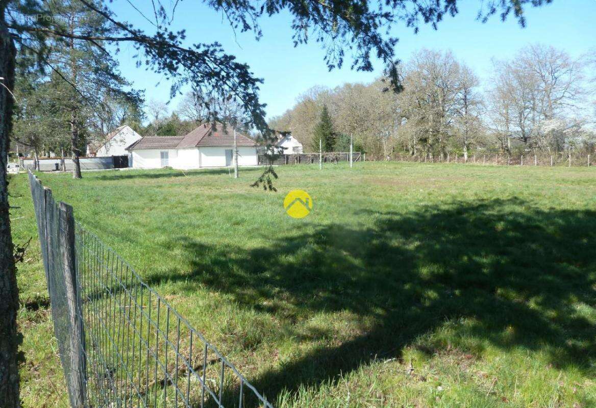 Maison à LAMOTTE-BEUVRON