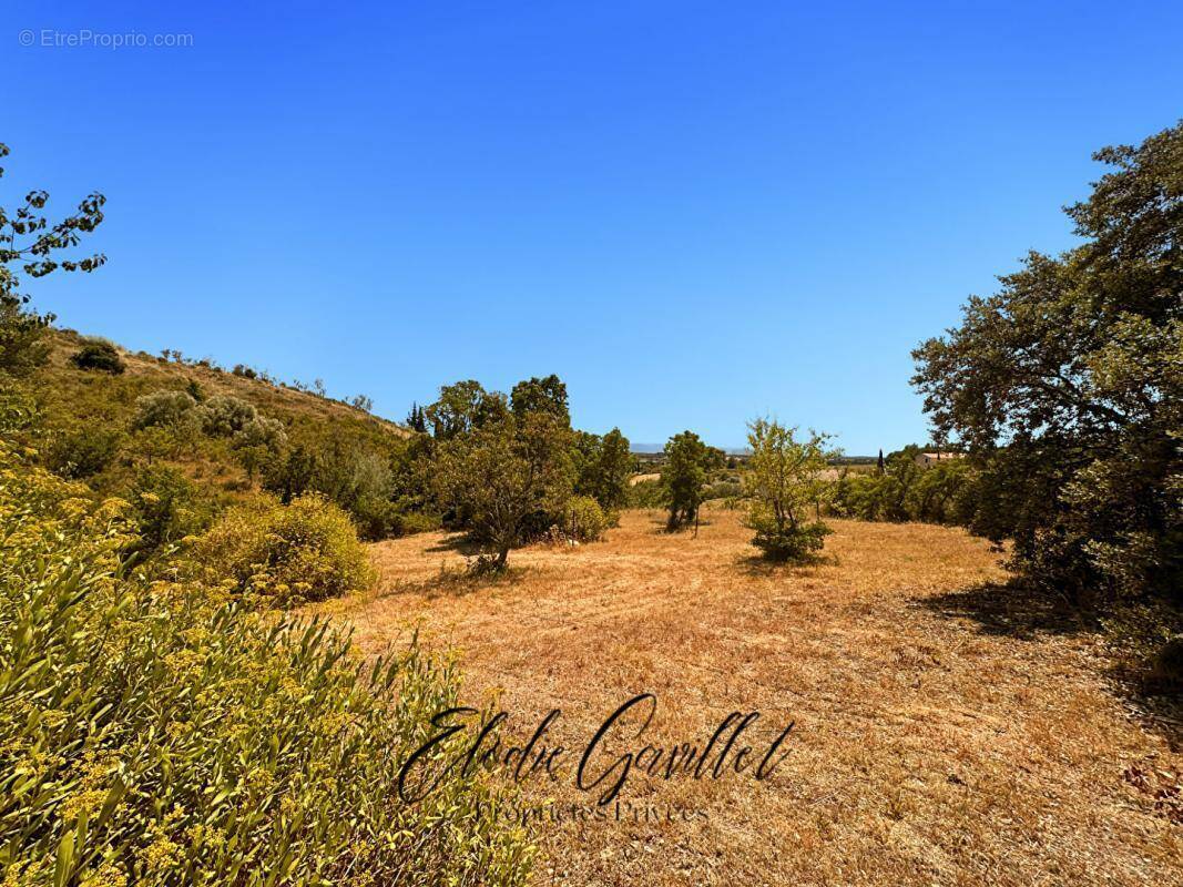 Terrain à CAUNES-MINERVOIS