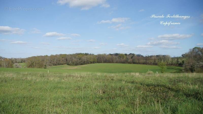 Terrain à ARZACQ-ARRAZIGUET