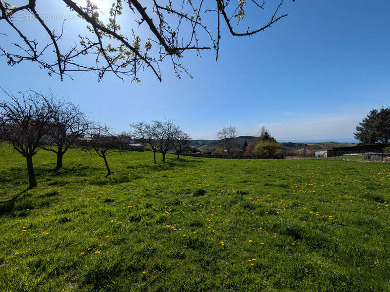 Terrain à COTTANCE