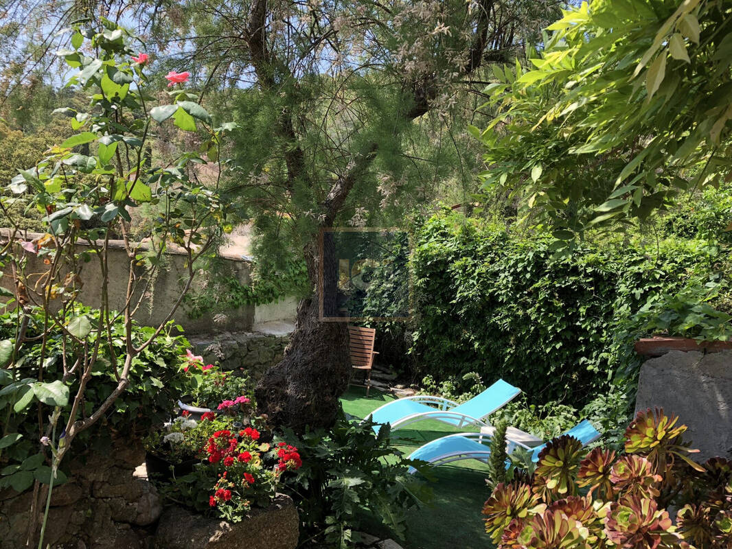 Maison à RAMATUELLE
