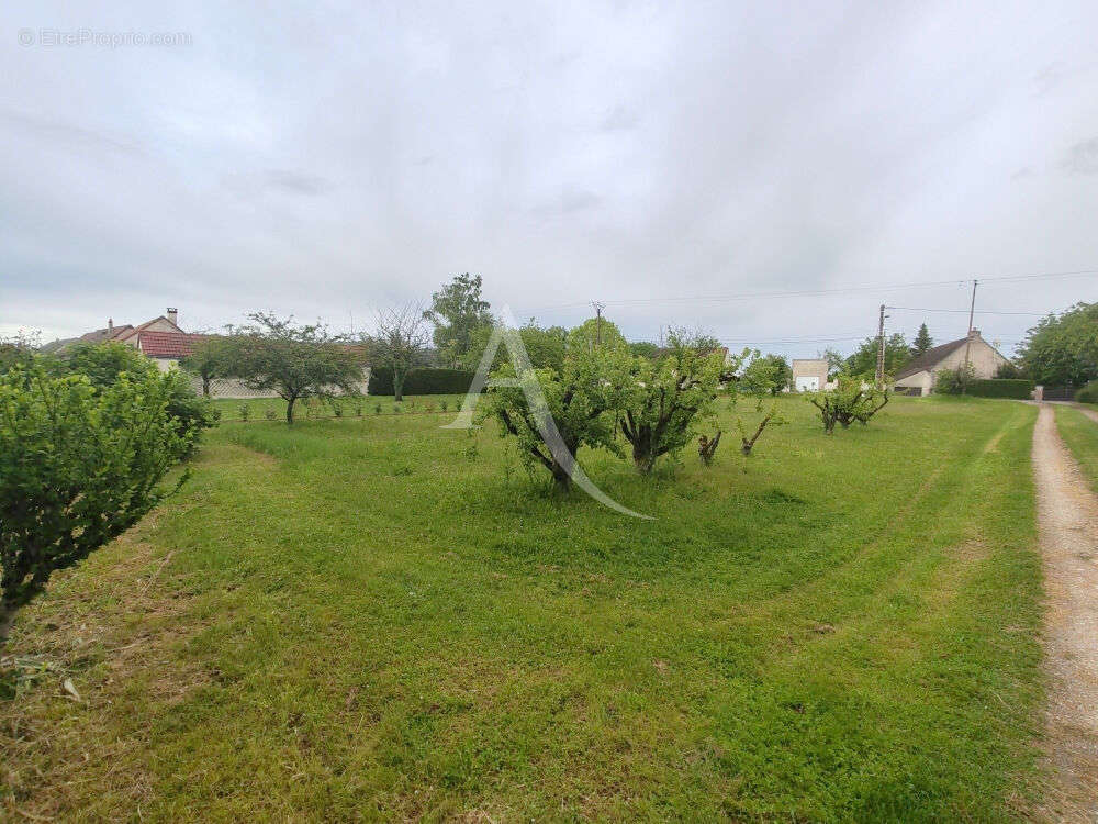Terrain à CONTRES