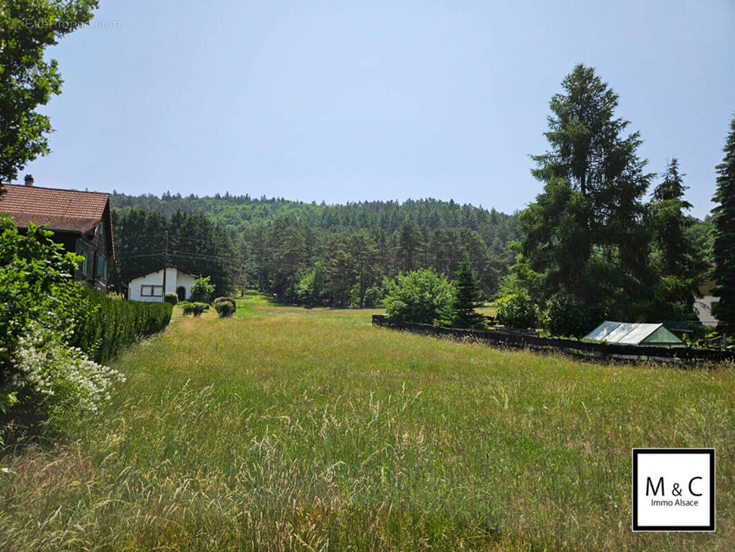 Terrain à STURZELBRONN