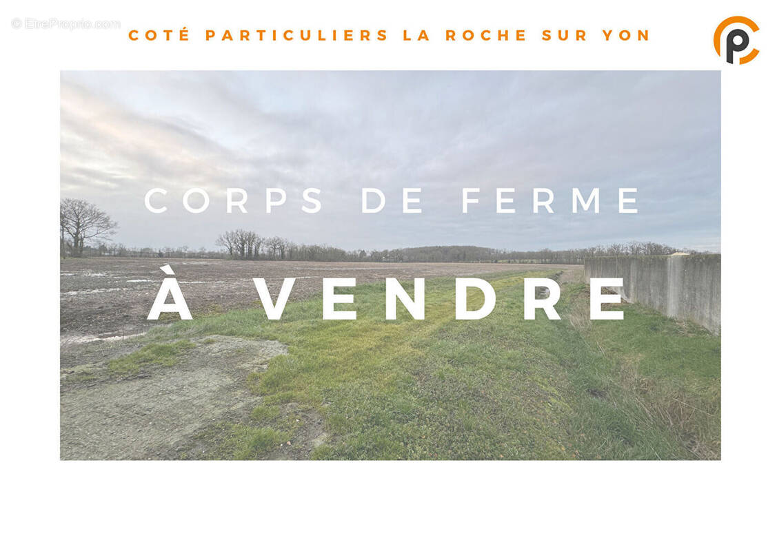 Commerce à TOUVOIS