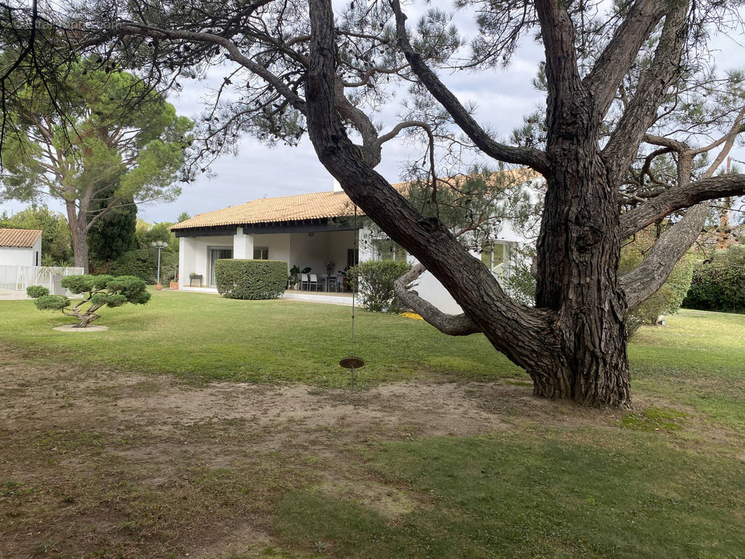 Maison à AVIGNON