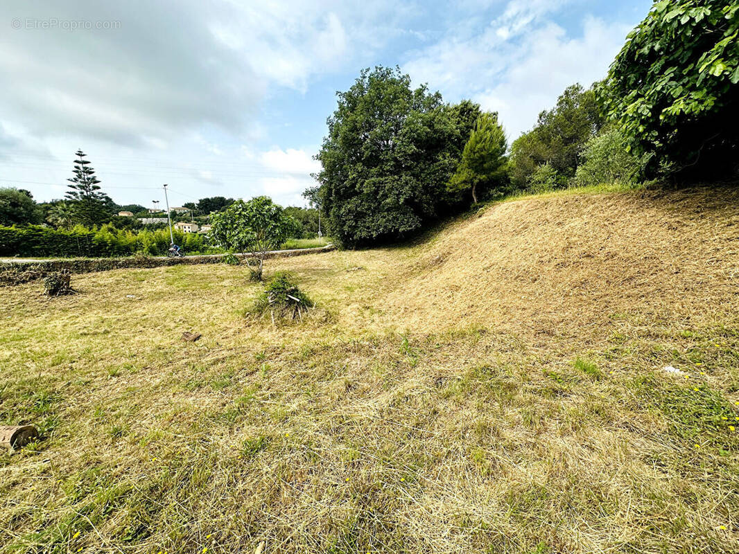 Terrain à LA GAUDE