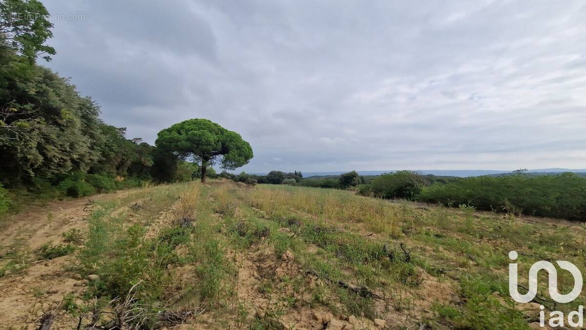 Photo 1 - Terrain à LEDENON