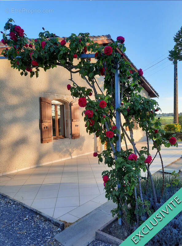 Maison à AUCH