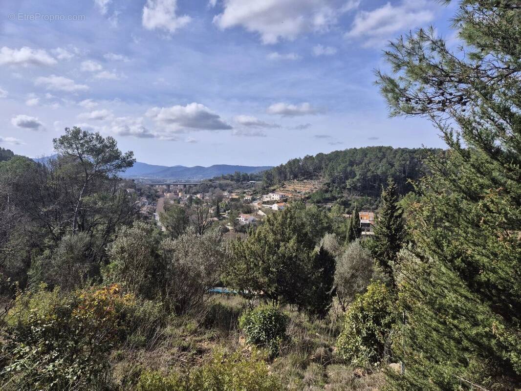 Terrain à LE LUC