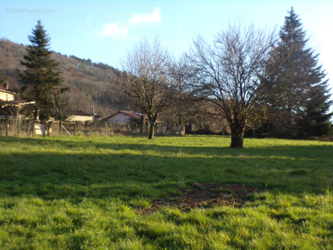 Terrain à JASSERON
