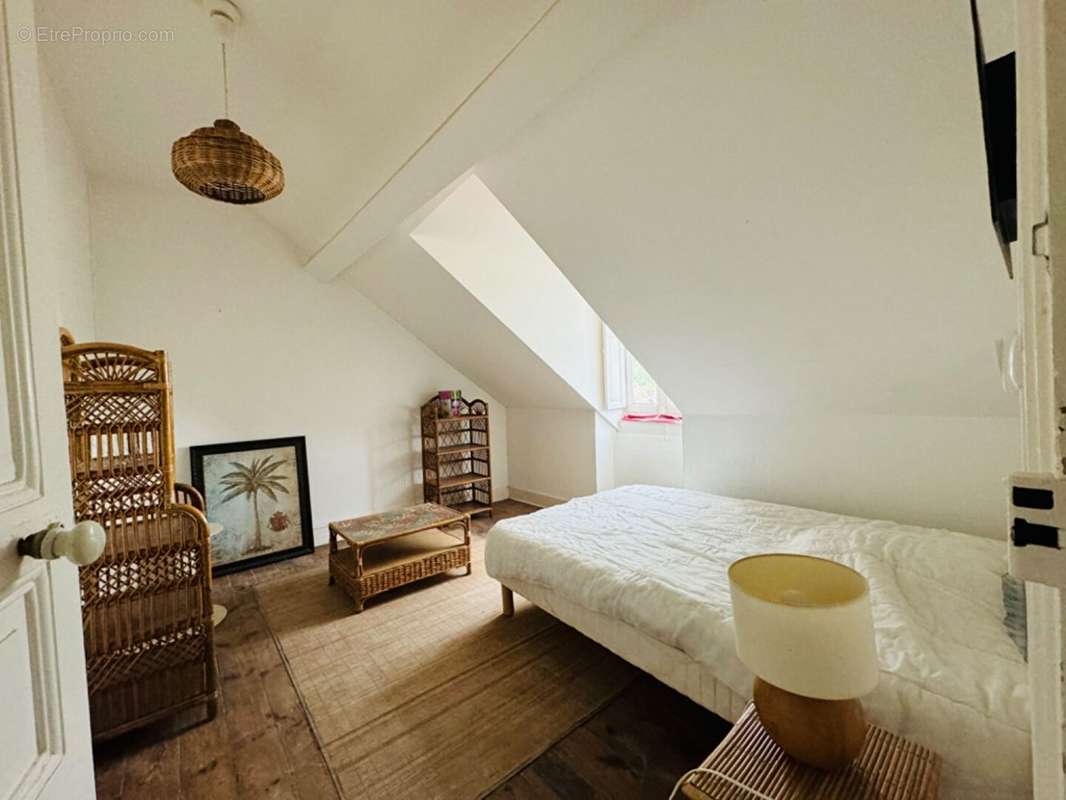 55866317g.jpg - Appartement à PAU