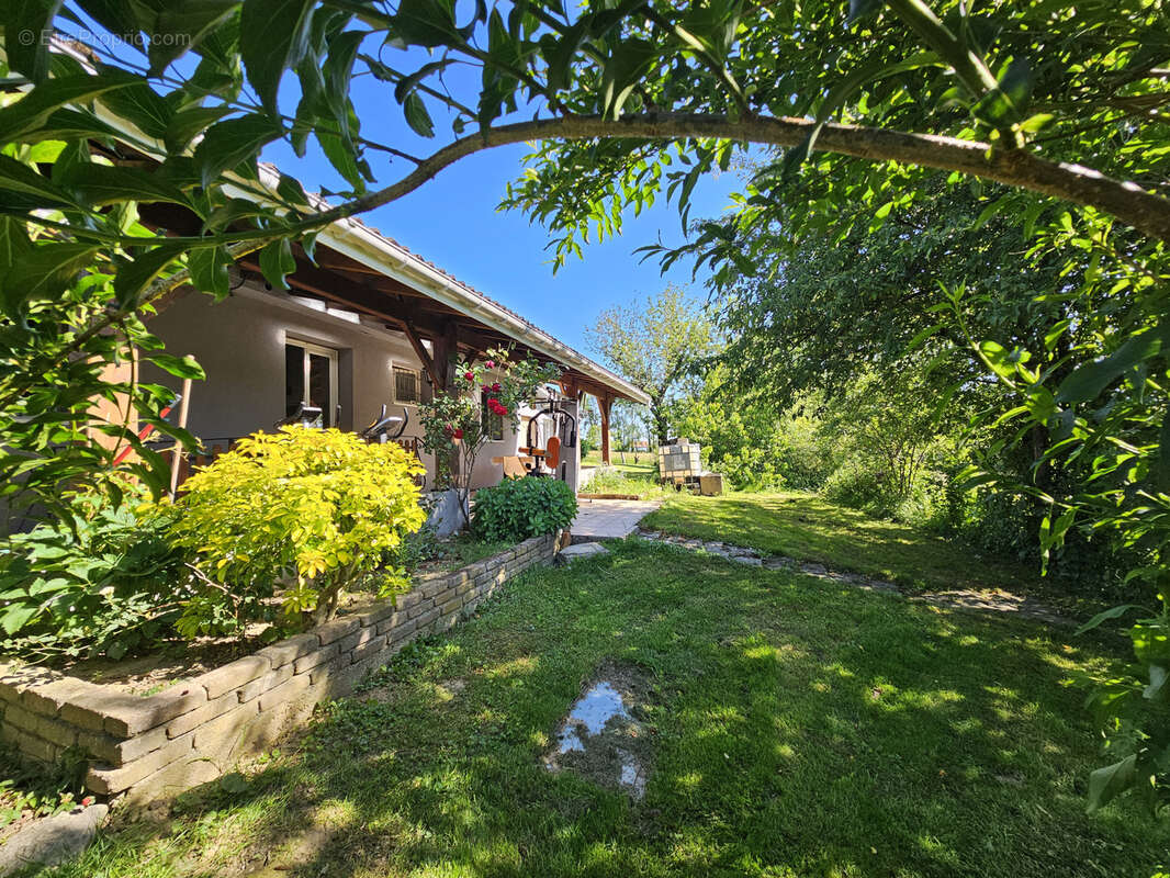 Maison à MONTREVEL-EN-BRESSE
