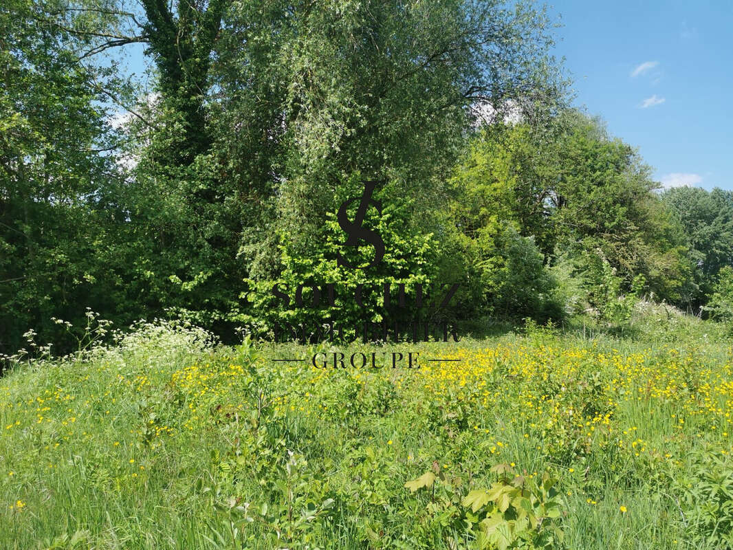 Terrain à SOUCHEZ