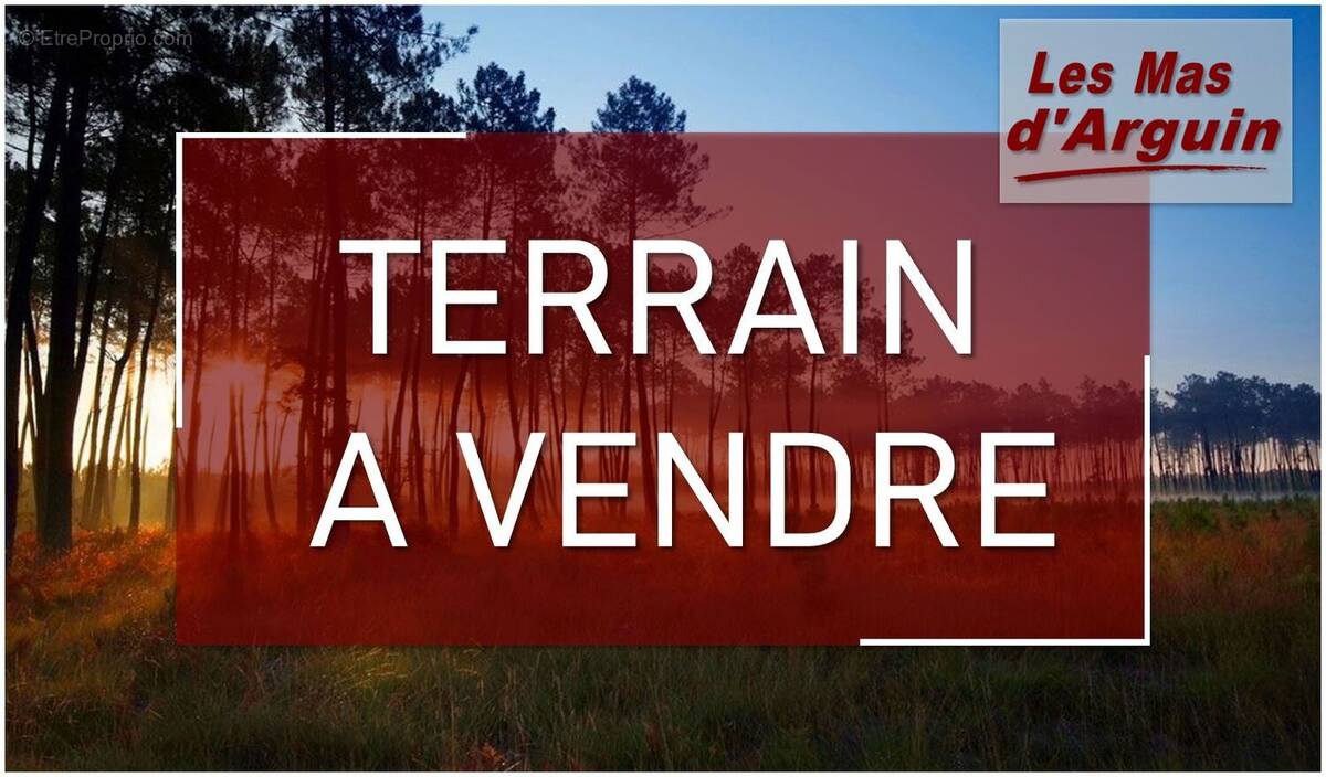Terrain à LE TEMPLE