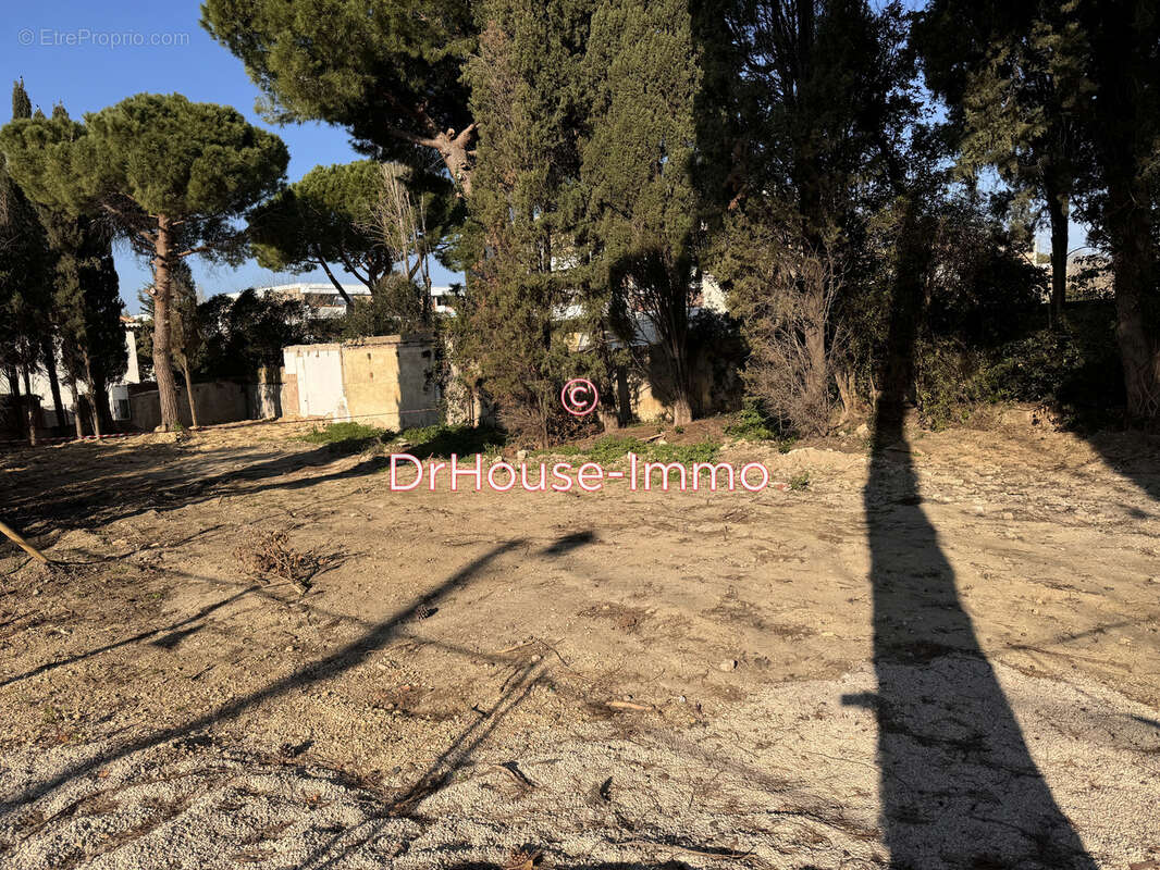 Terrain à MARSEILLE-8E
