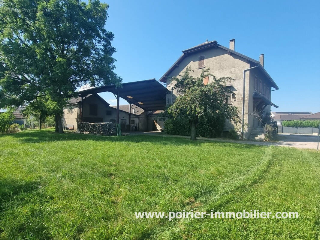 Maison à MASSONGY