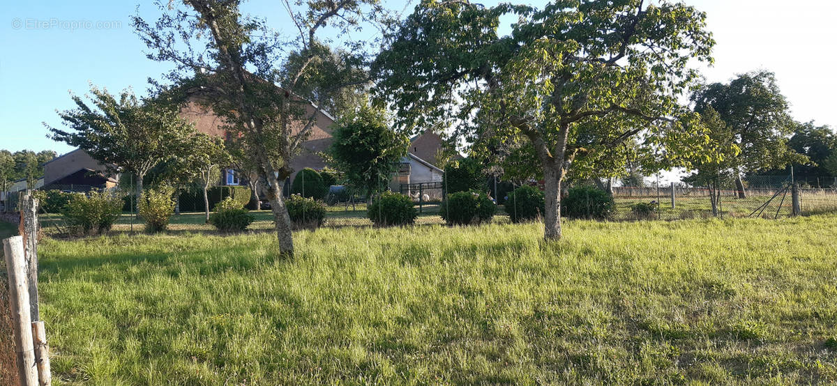 Terrain à HATTIGNY