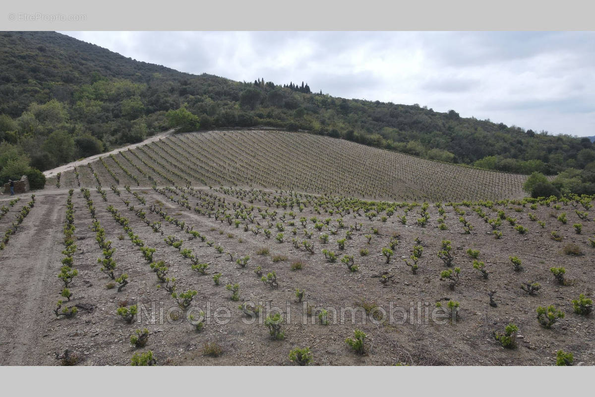 Terrain à MONTNER