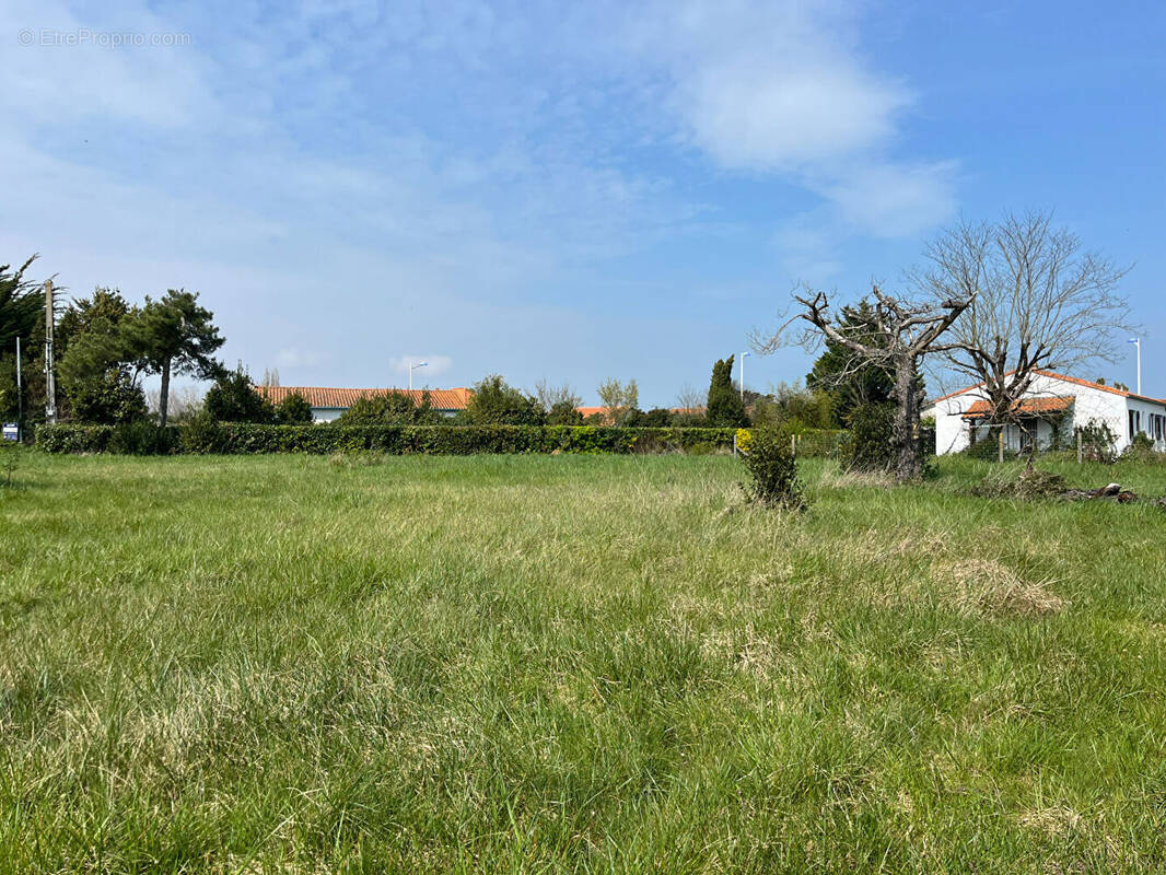 Terrain à LE CHATEAU-D&#039;OLERON
