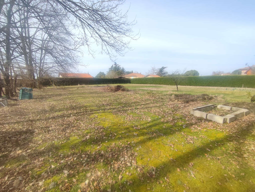 Terrain à SAINT-ETIENNE-DE-TULMONT