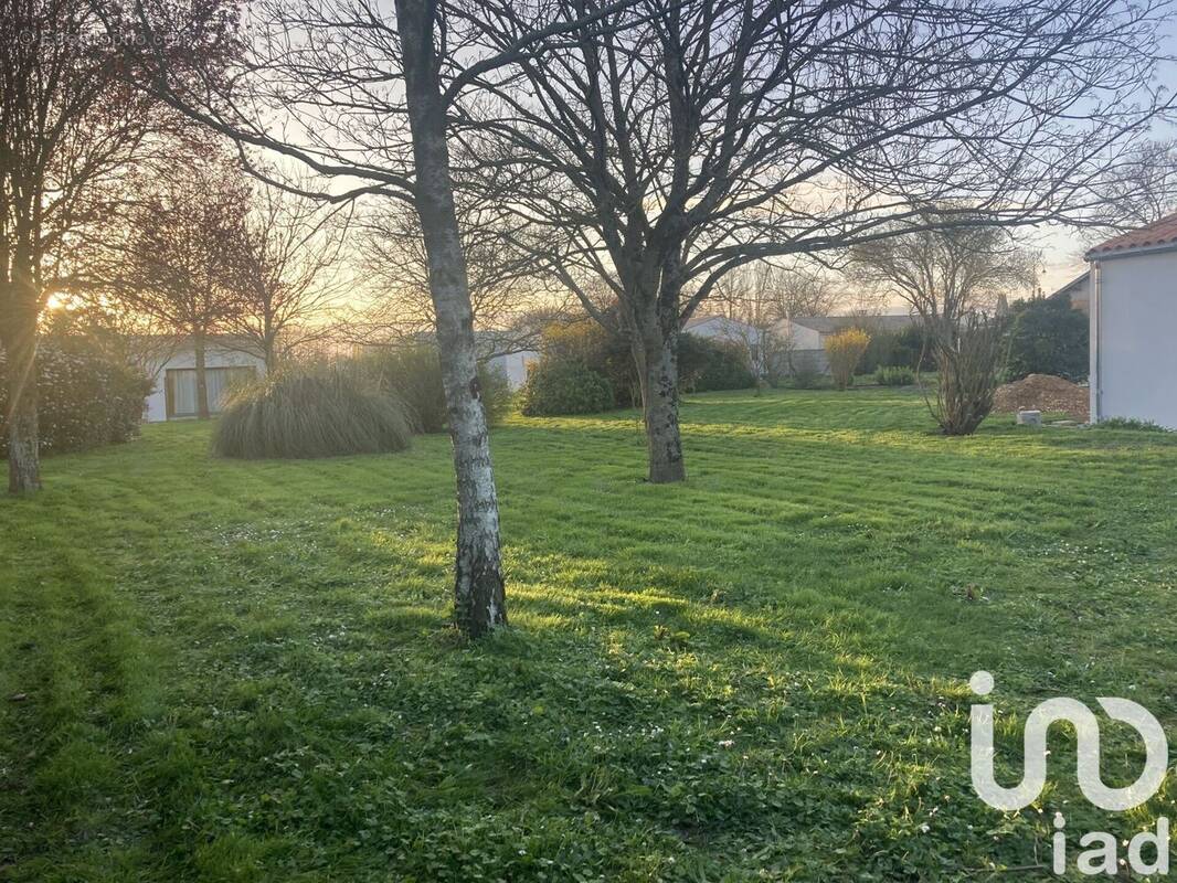 Photo 1 - Terrain à FERRIERES