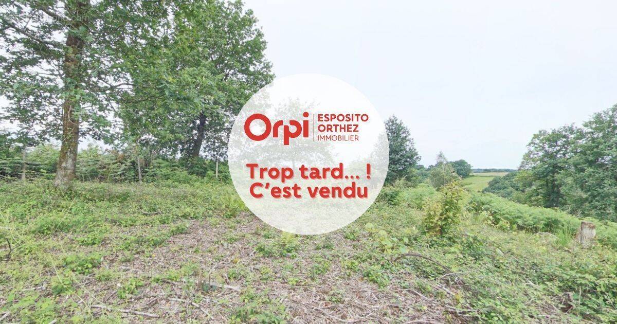 Terrain à ORTHEZ