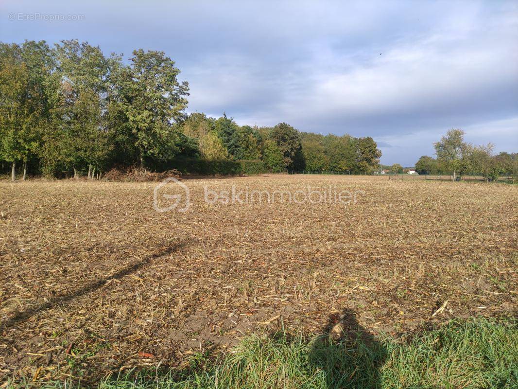 Terrain à GIROLLES
