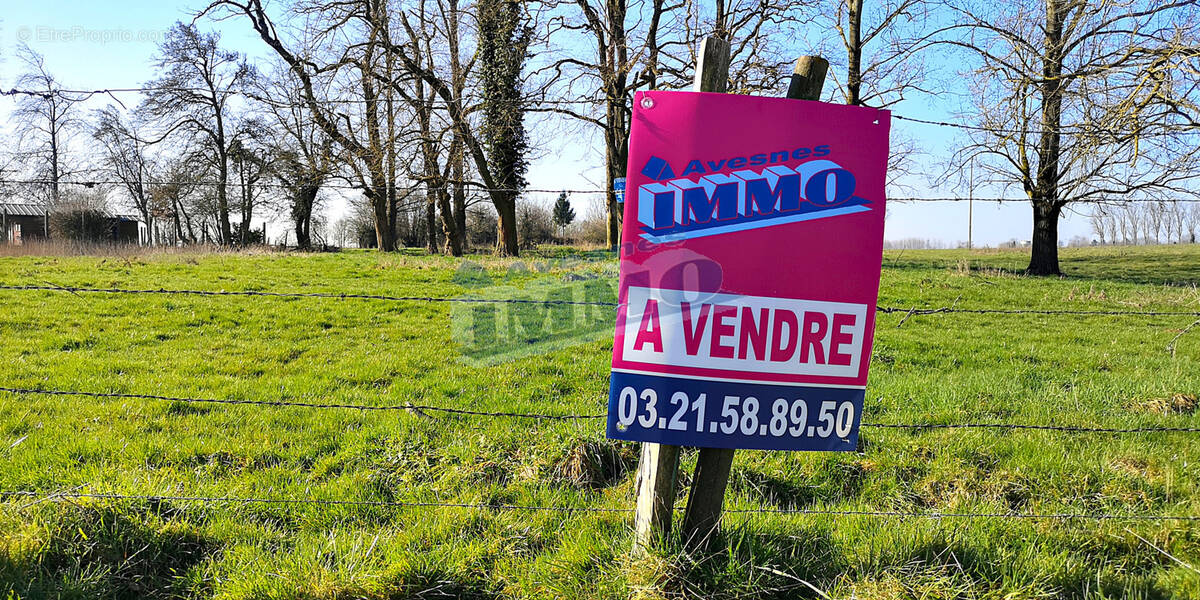 Terrain à AUBIGNY-EN-ARTOIS