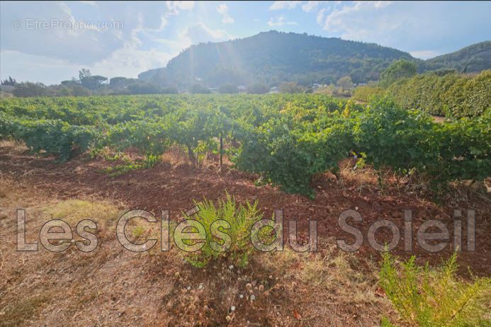 Terrain à BRIGNOLES