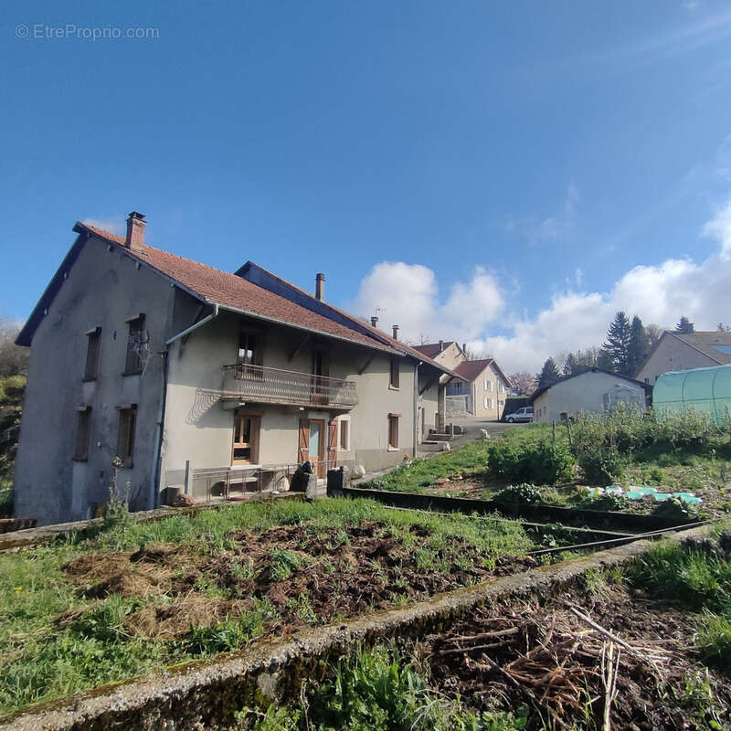 Maison à THEZILLIEU