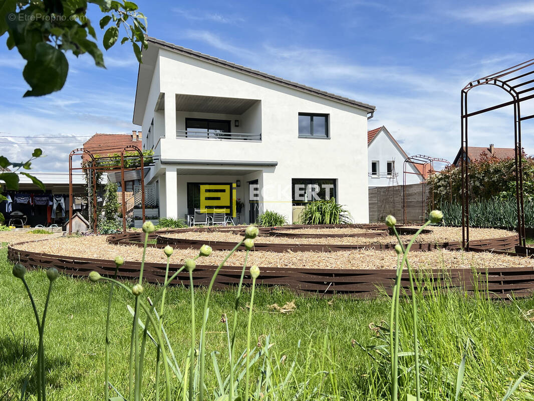 Maison à MOLSHEIM