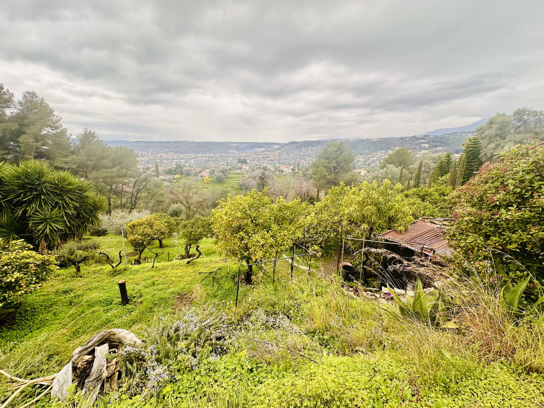 Terrain à SAINT-PAUL