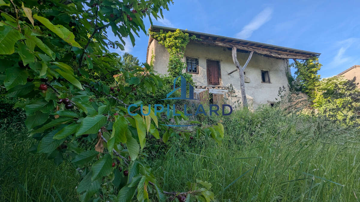 Maison à RENAISON