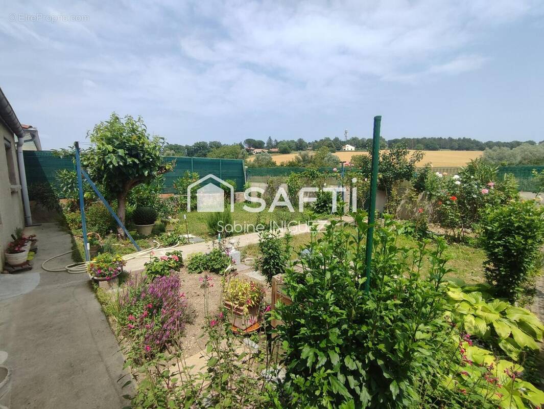 Photo 1 - Maison à CASTRES