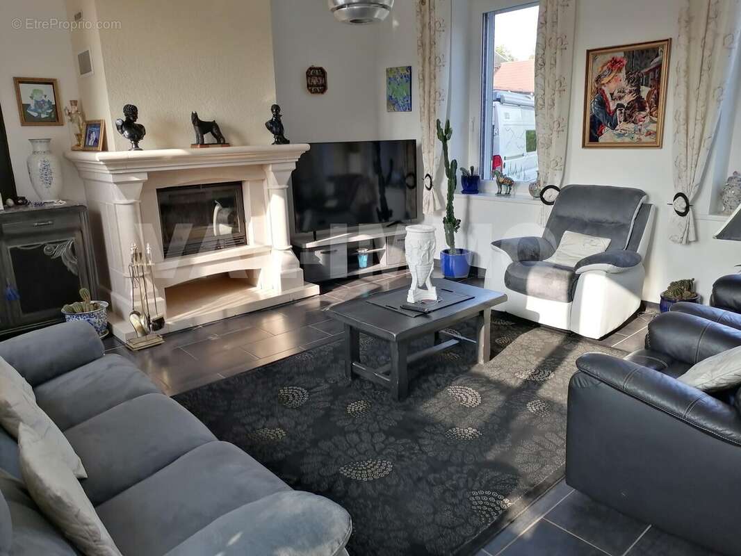 4cheminée salon - Maison à ECOURT-SAINT-QUENTIN