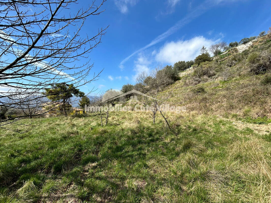 Terrain à BERRE-LES-ALPES