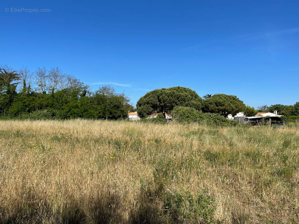 Terrain à SAINT-PIERRE-D&#039;OLERON