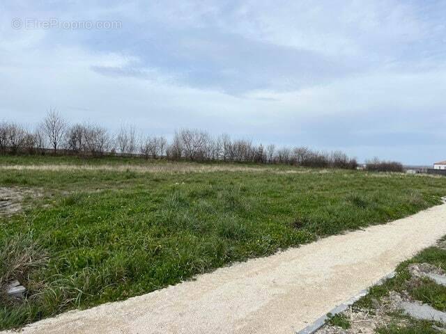 Terrain à AVAILLES-EN-CHATELLERAULT