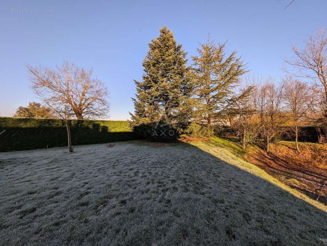 Terrain à CLISSON