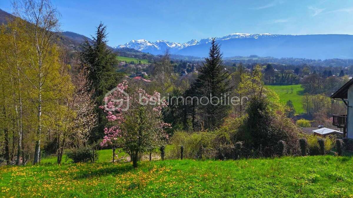 Terrain à BRIE-ET-ANGONNES