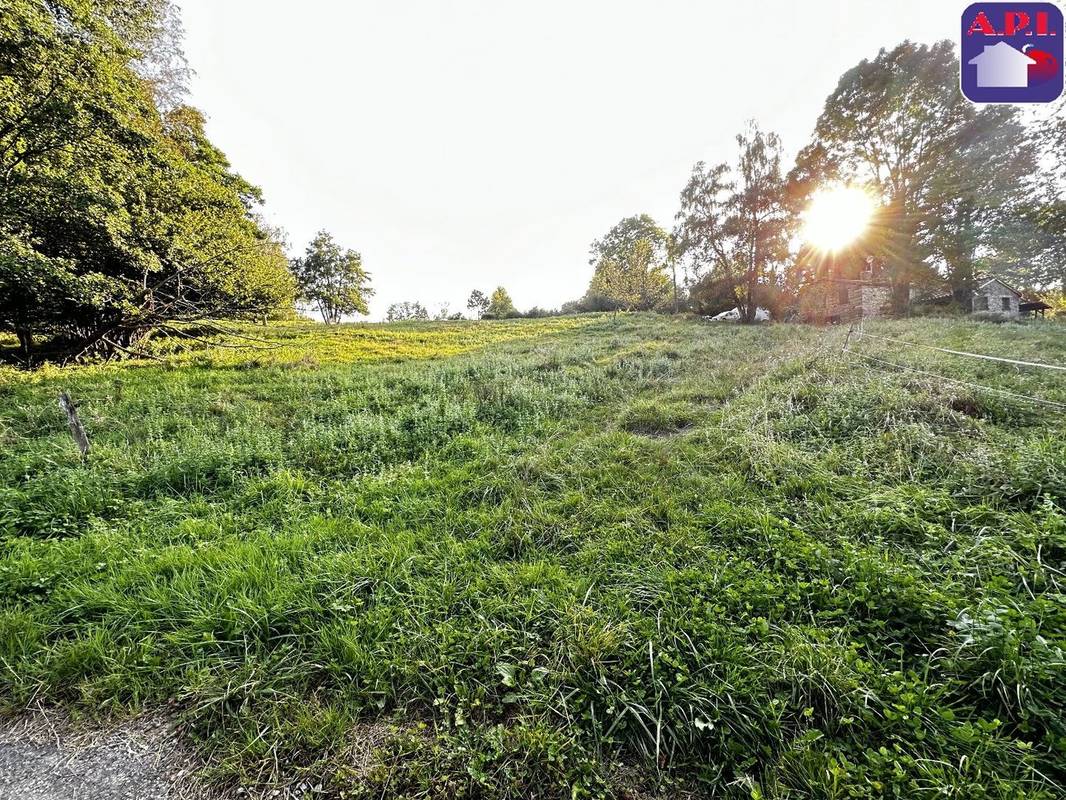 Terrain à LA BASTIDE-DE-SEROU