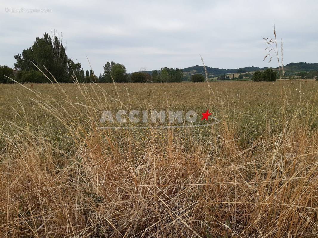 Terrain à GAILLAC