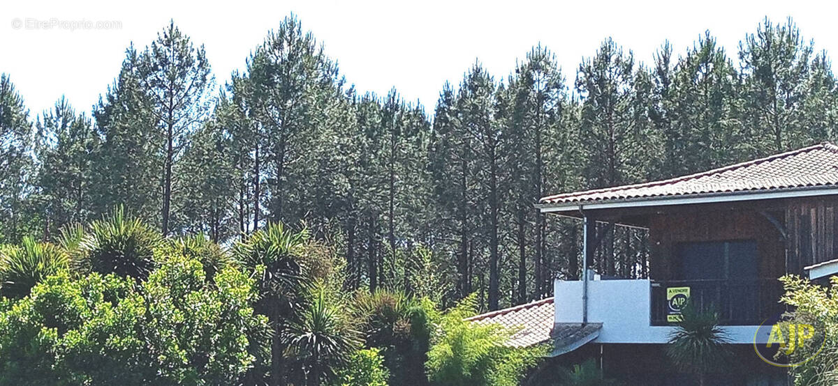 Appartement à LEGE-CAP-FERRET