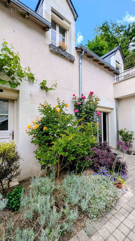 Maison à NAZELLES-NEGRON