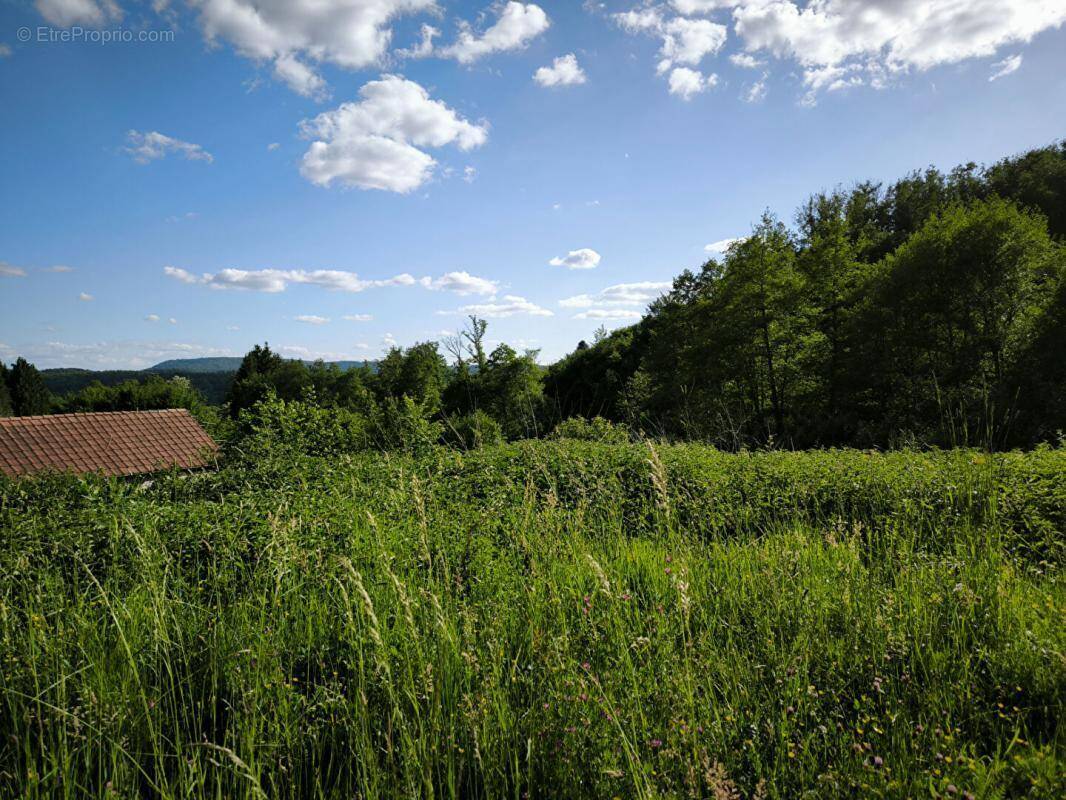 Terrain à CHAMPAGNEY