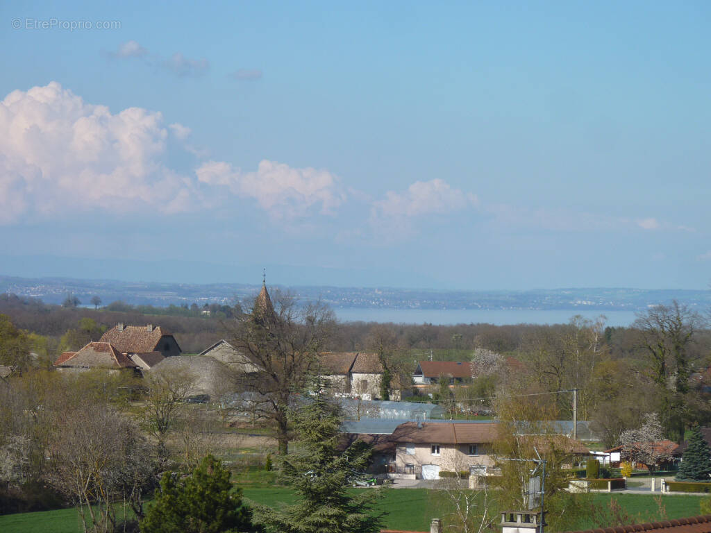 Terrain à MASSONGY