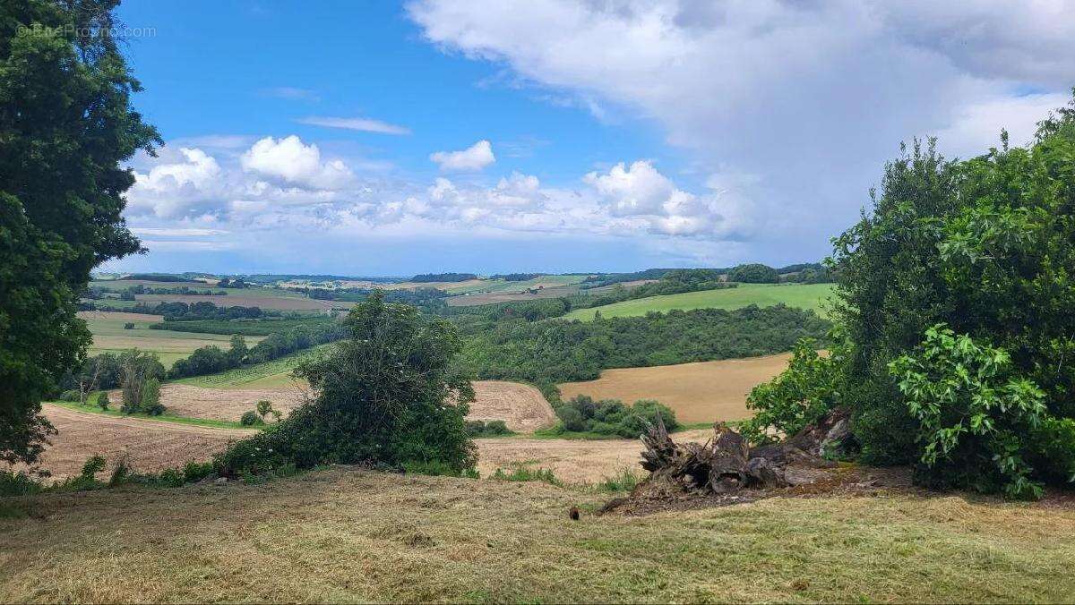 Terrain à BEAUMONT-DE-LOMAGNE